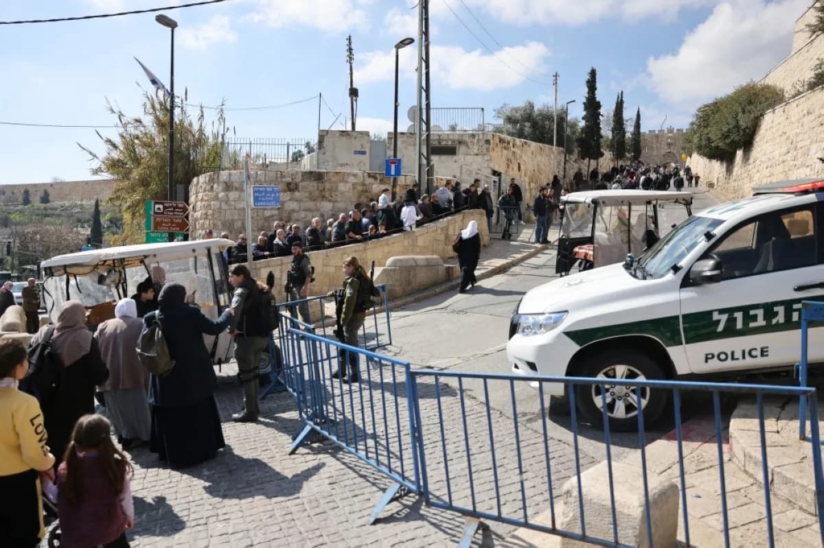 Educational Environment Section 5